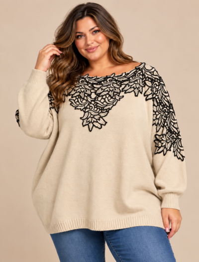 Pull col brodé